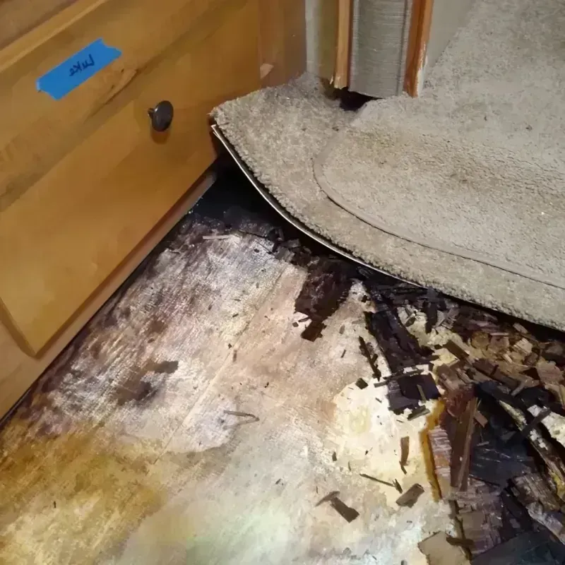 Wood Floor Water Damage in Fort Myers Shores, FL